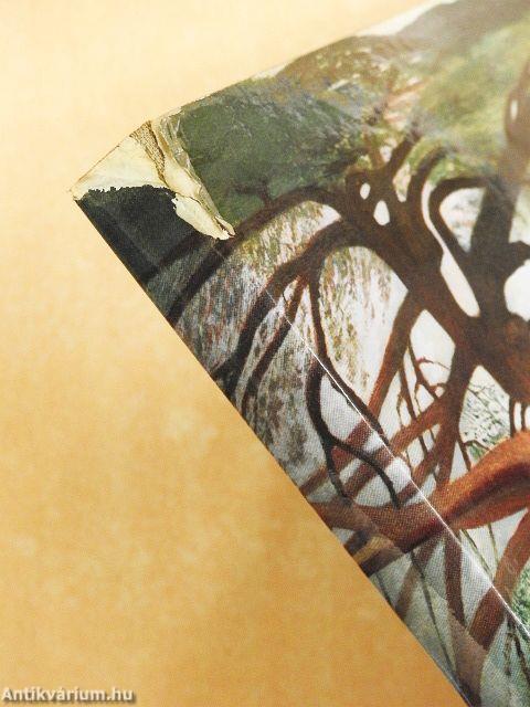 Csontváry Kosztka Tivadar