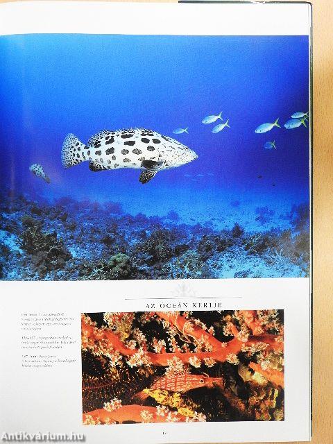 A világ legszebb nemzeti parkjai