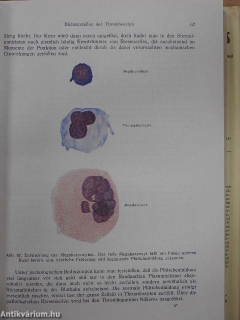 Klinische Hämatologie