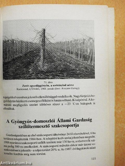 Szőlősgazdáknak régi és új művelésmódok