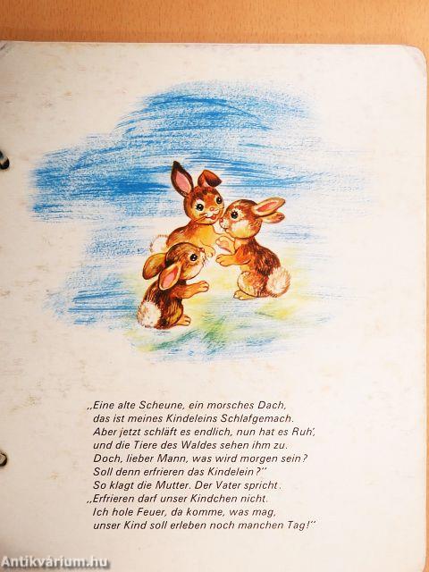 Eine Weihnachtsgeschichte