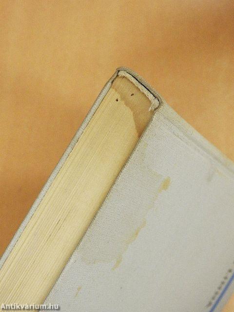 Az ismeretlen katona