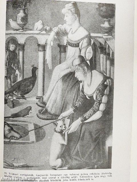 Az olasz renaissance műveltsége