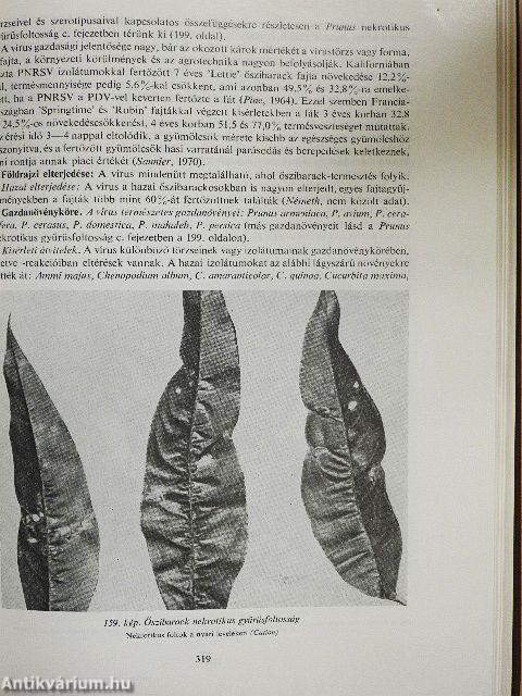 Gyümölcsfák vírusos, mikoplazmás és rickettsiás betegségei