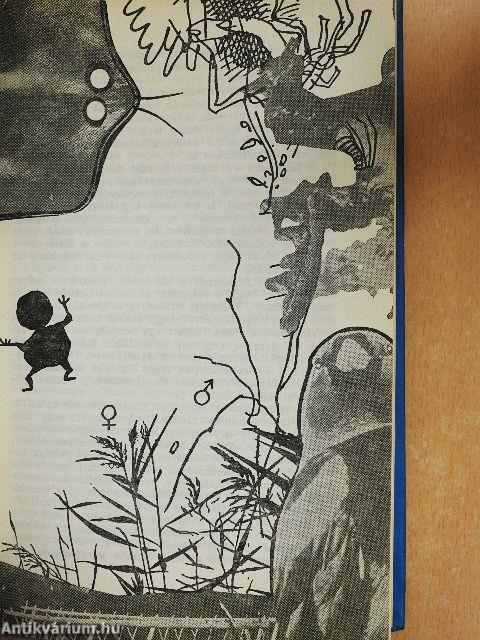 Piknik a senkiföldjén