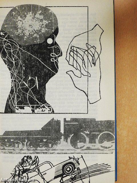 Piknik a senkiföldjén