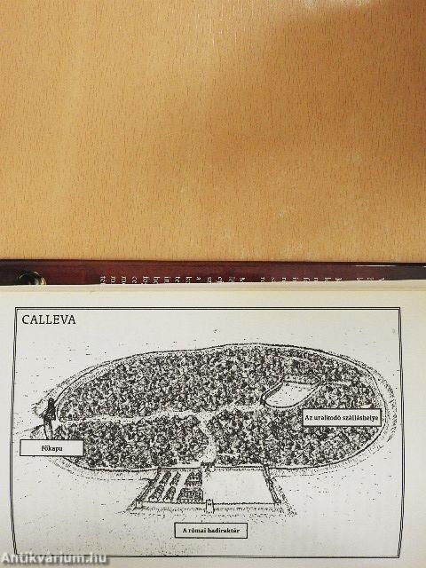 A sas és a farkasok