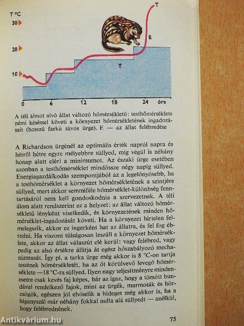 Az állatok téli álma