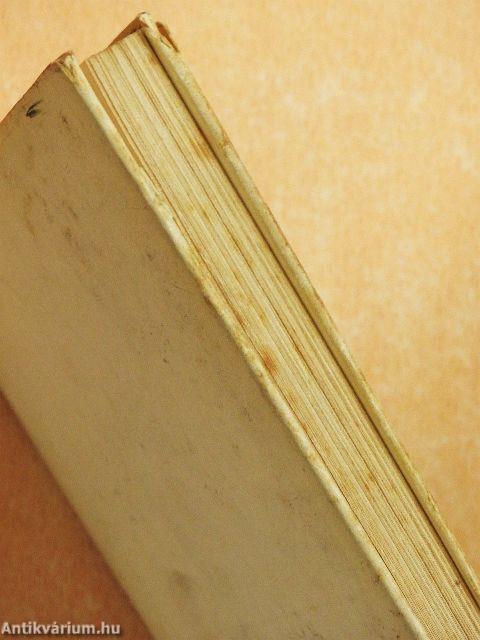 Négy gyerekkel egy pálmakunyhóban