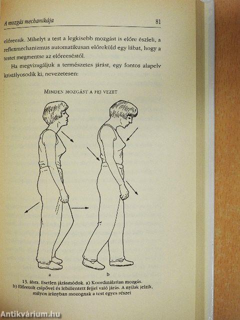 Az Alexander-módszer alapjai