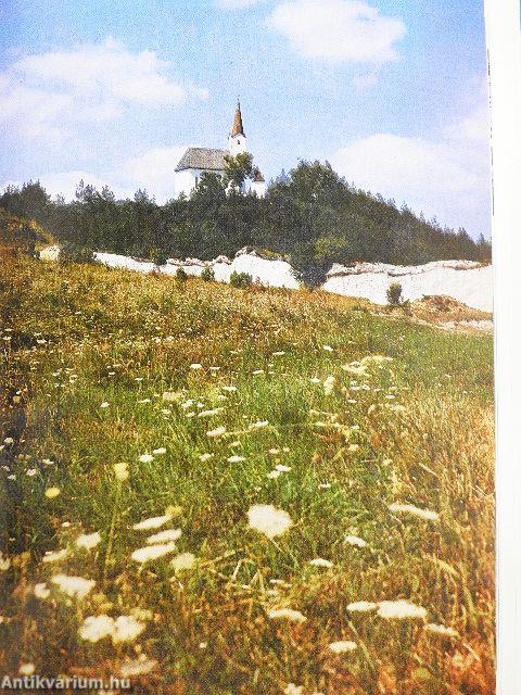 Fényképezés Prakticával