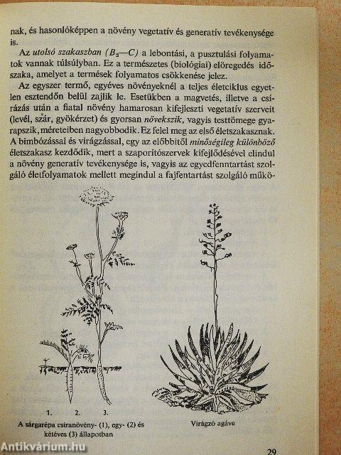 Meteorológiáról kertészkedőknek