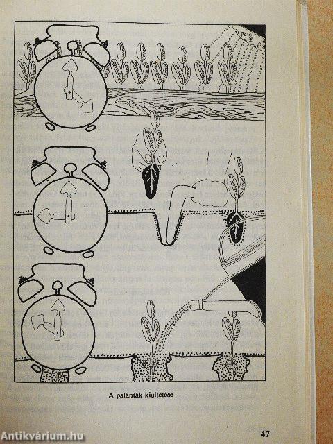 Fűszer- és gyógynövények a kiskertben és a házunk táján