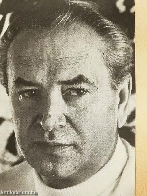 Önarckép hegy formájában