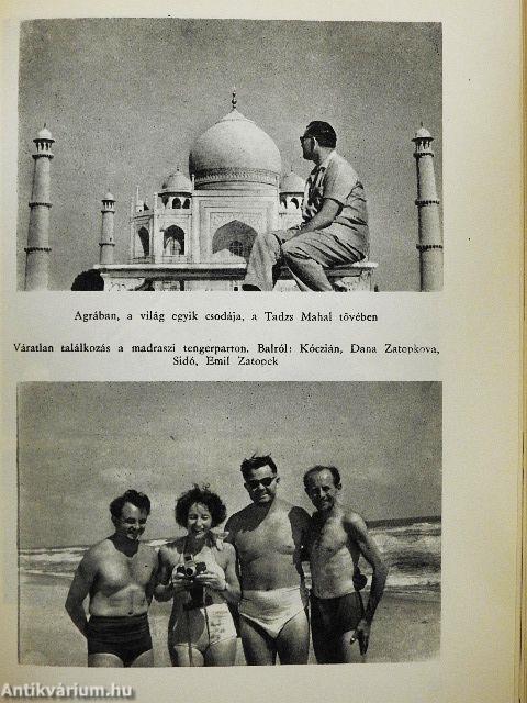 A kaucsuklabda varázsa