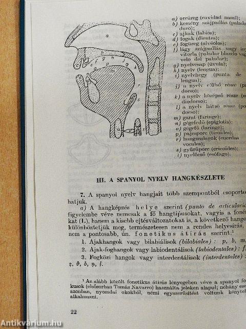Rendszeres spanyol leíró nyelvtan