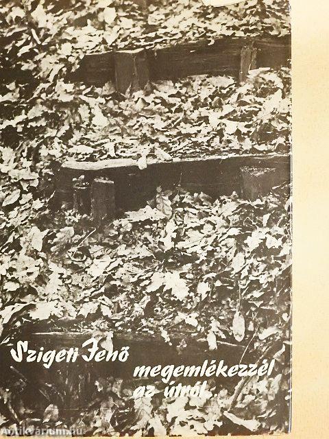 "És emlékezzél meg az útról..."