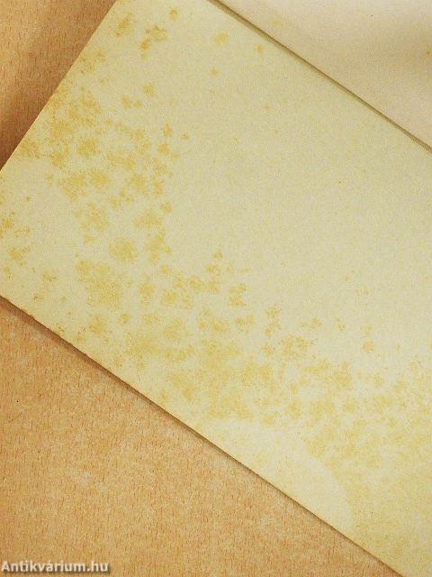 Járőr a Szaharában