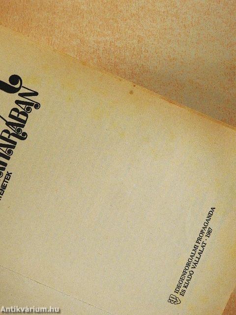 Járőr a Szaharában