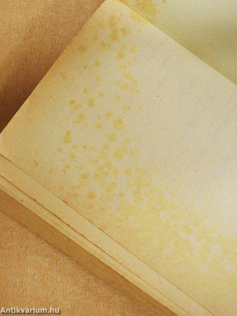 Járőr a Szaharában