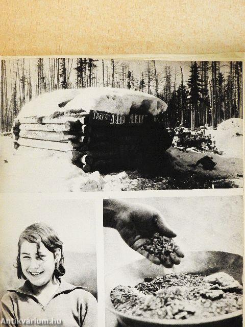 BAM - Út Szibéria kincseihez