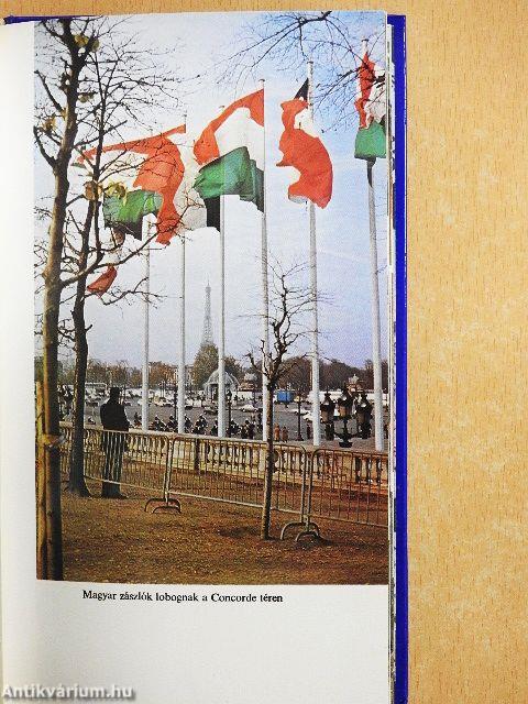 A repülőszőnyeg utasa