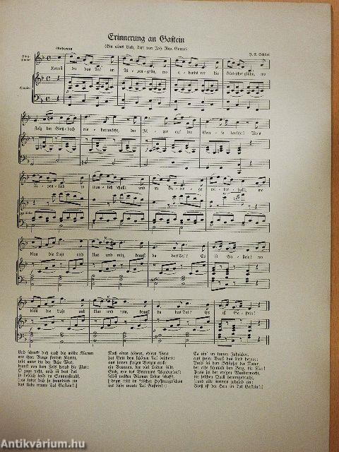 100 Jahre Thermalbad Hofgastein : Festschrift zur Jahrhundertfeier August 1928.