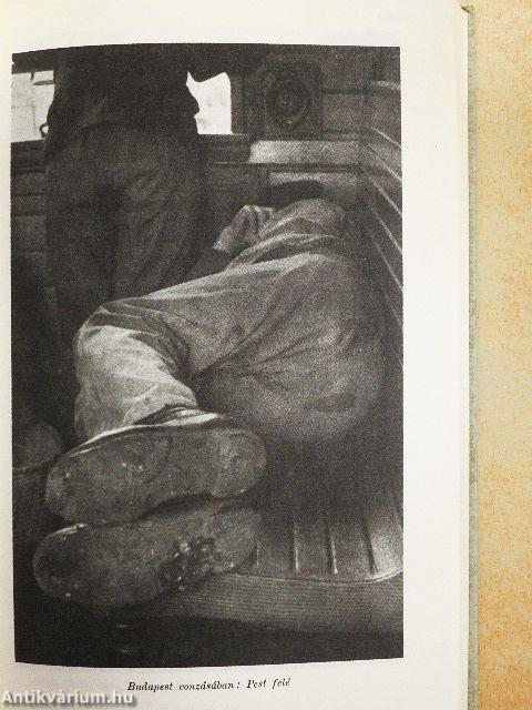 A tardi helyzet/Cifra nyomorúság