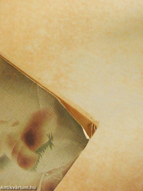 A határon történt