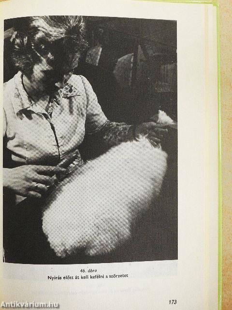 Az angóranyúl tenyésztése