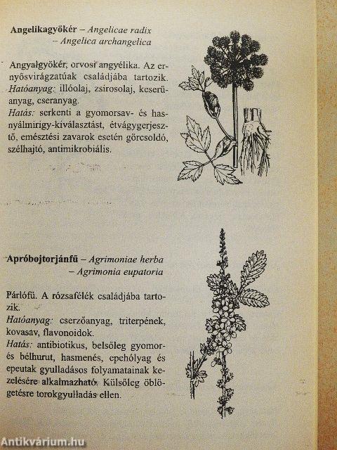 Gyógynövények és gyógyteák