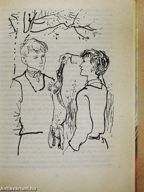 Bujdosásunk története