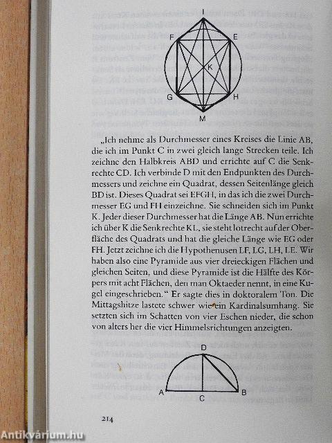 Die Sterne von Compostela