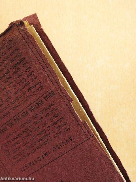 Roma nuovissima pianta topografica