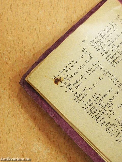 Roma nuovissima pianta topografica