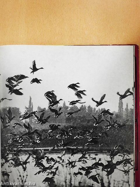 A természet öröknaptára