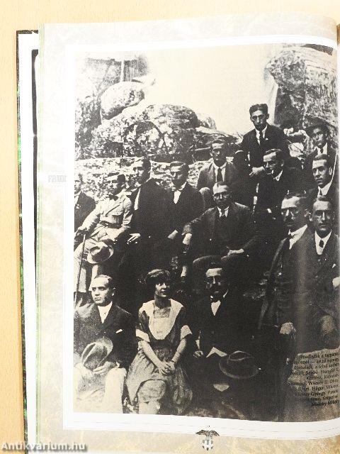 Fradi futballévszázad