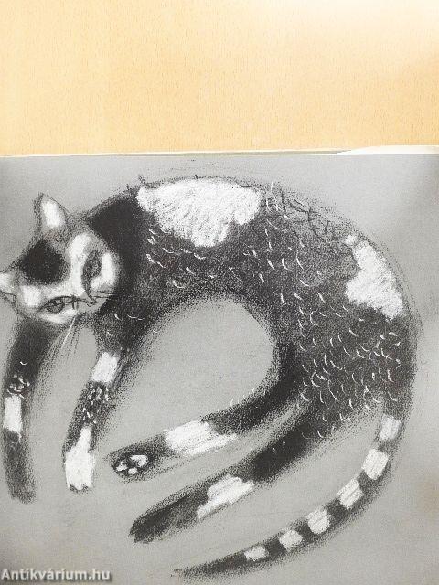 A macska tízezer létezésmódja