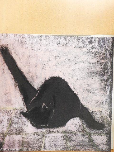 A macska tízezer létezésmódja