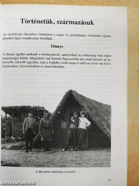 Dinnye, uborka, tök