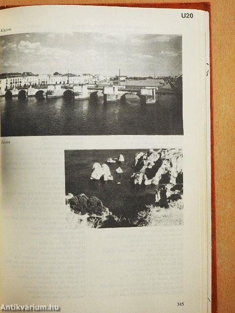 Portugál nyelvkönyv (rossz állapotú)