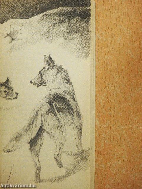 A vadon szava/A mexikói