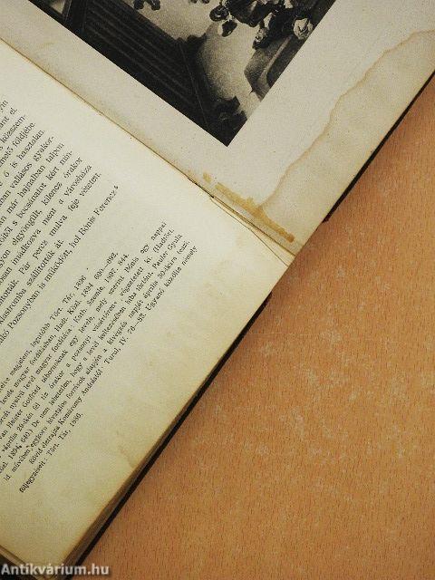 A magyar nemzet története VII. (rossz állapotú)