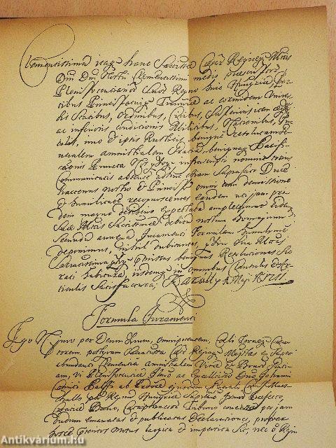 A magyar nemzet története VII. (rossz állapotú)