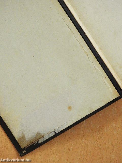 A magyar nemzet története III. (rossz állapotú)