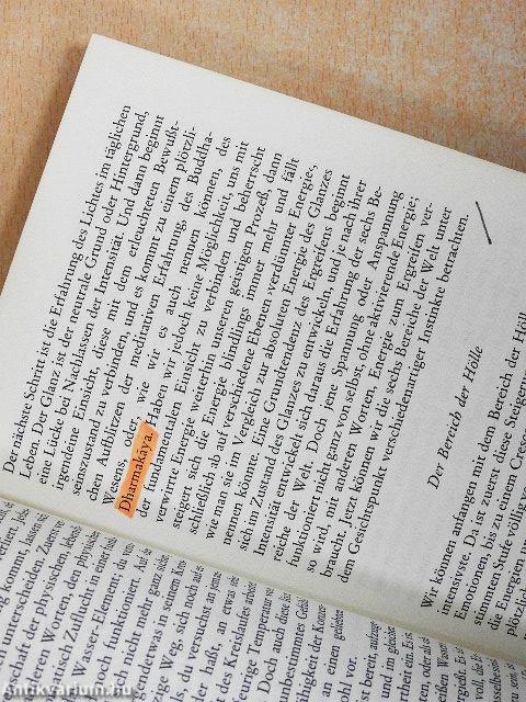 Der Totenbuch der Tibeter