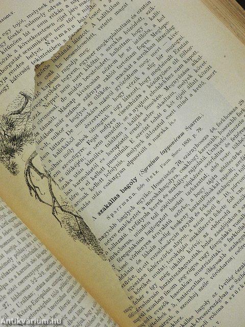 Brehm - Az állatok világa 5. (rossz állapotú)