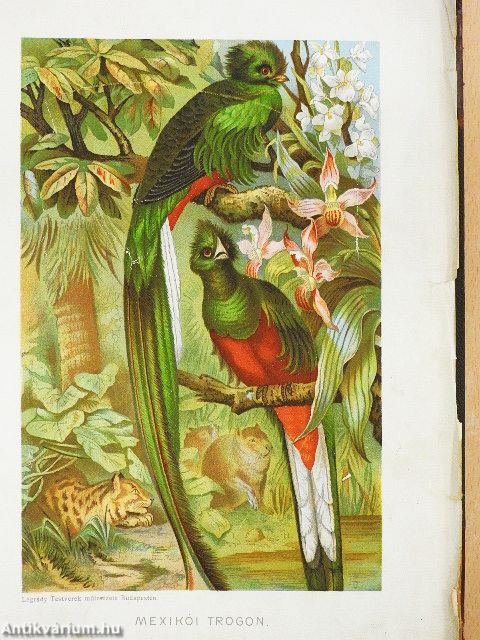 Brehm - Az állatok világa 5. (rossz állapotú)