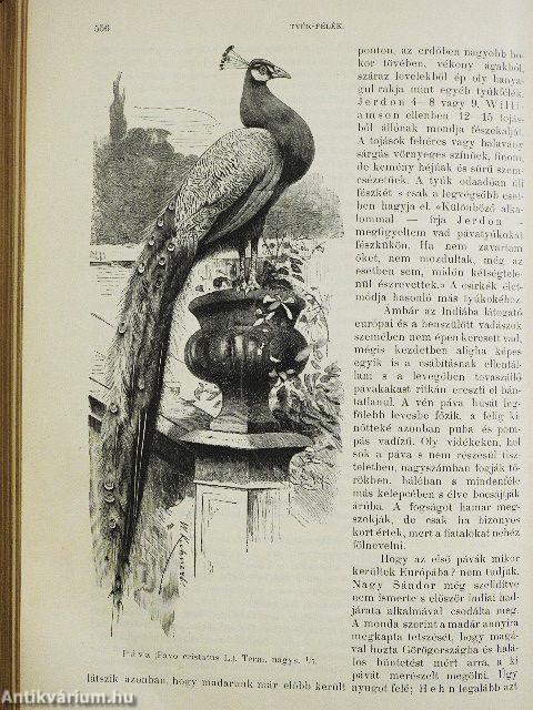 Brehm - Az állatok világa 5. (rossz állapotú)