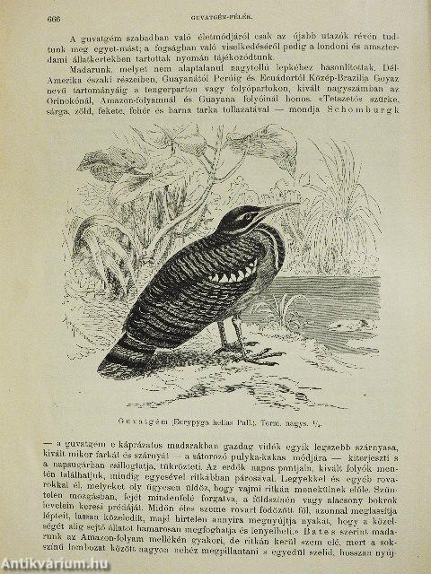 Brehm - Az állatok világa 5. (rossz állapotú)